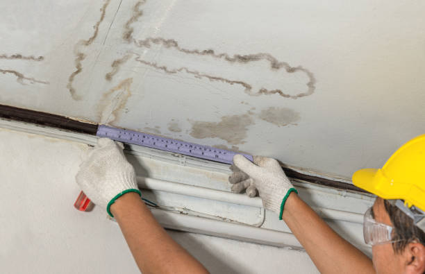 Reliable Flood Cleanup contractor in Onsted, MI by Water Damage Irwin